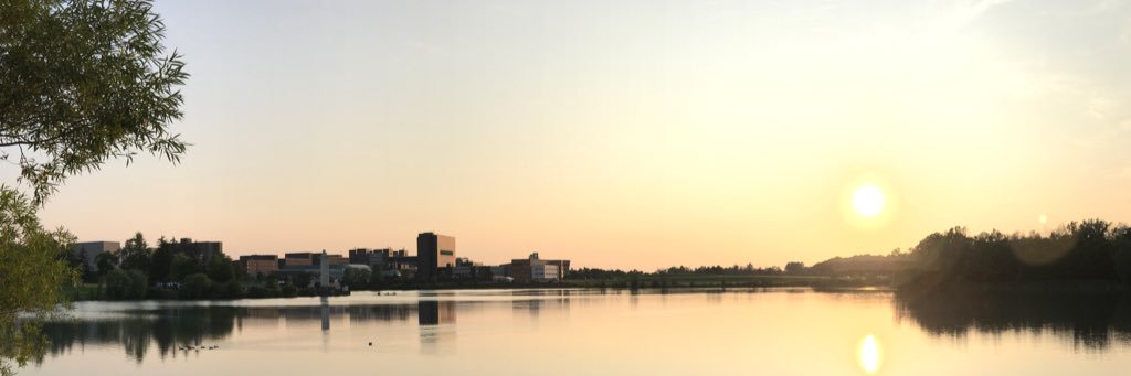 ColtonWoods's profile banner image