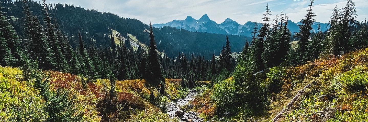 dylan_mulhearn's profile banner image