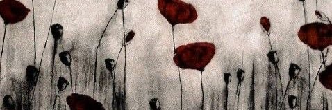 ✧ banner