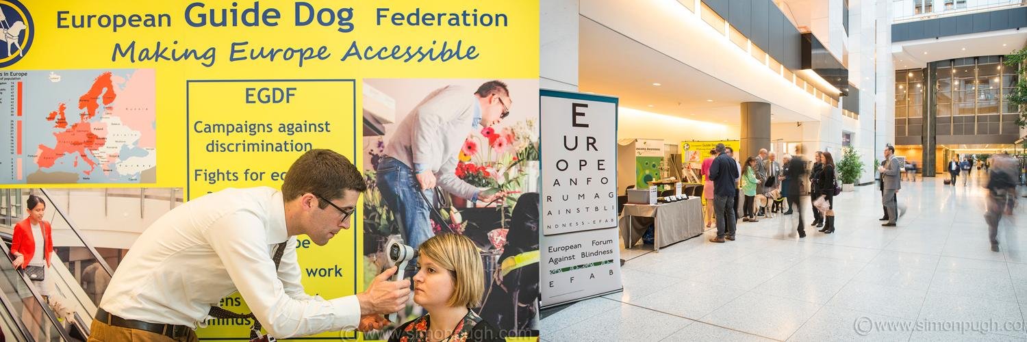 European Guide Dogs banner