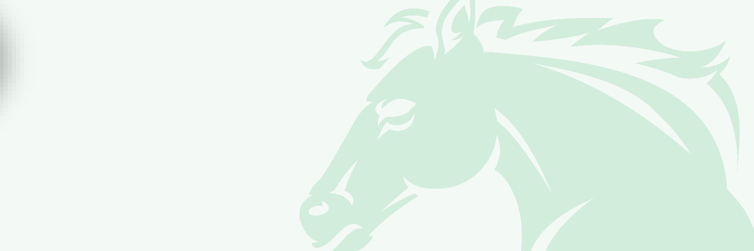 McGuineas Racing banner