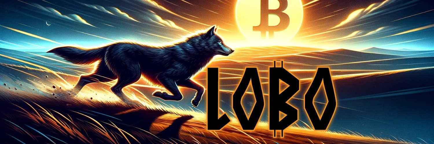 Alexsandro $LOBO 🧡 KRAKEN's banner