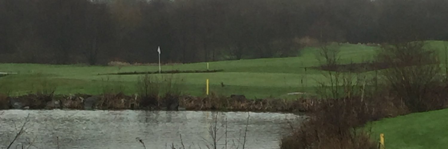 Dan Wood (@Danwoodgolf) / Posts / X