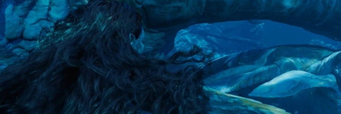 beriberiii🍉's banner