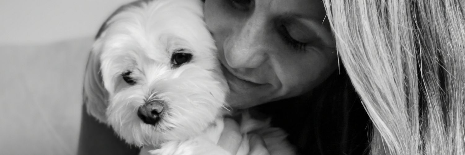 SalMcD's profile banner image