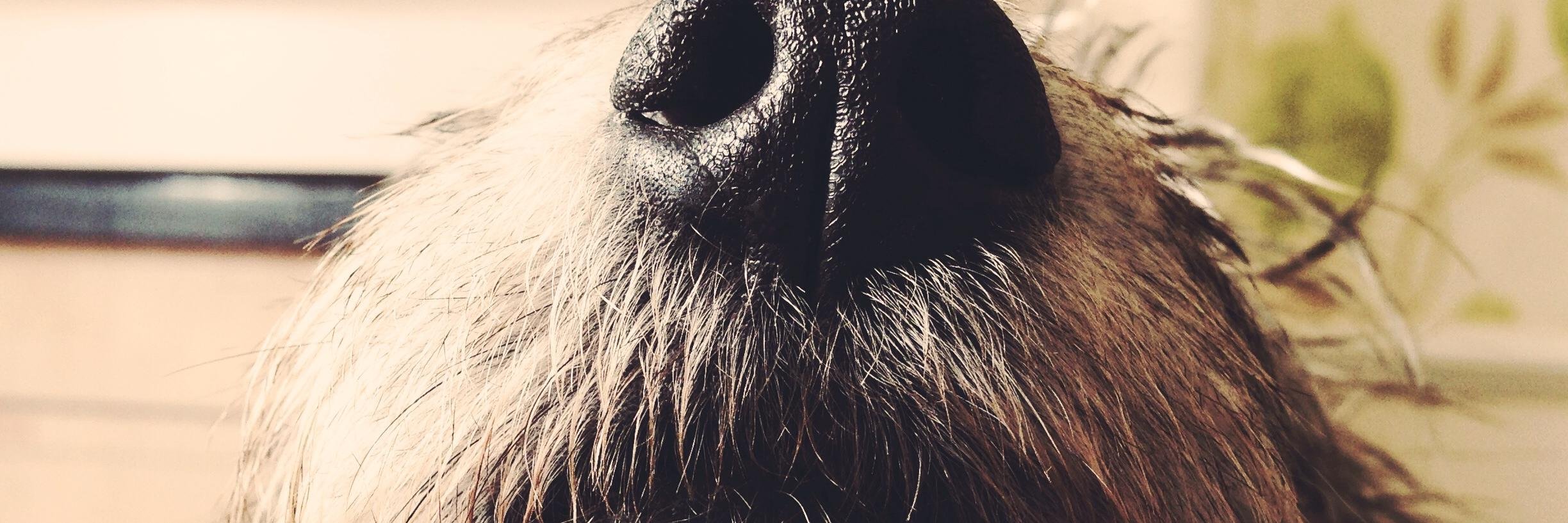 Katie Markham (she/her) #BlackLivesMatter banner