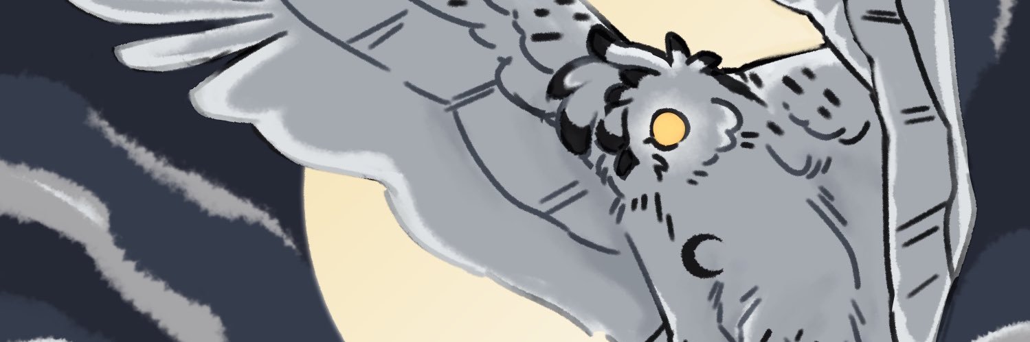OwlBoxx's profile banner image