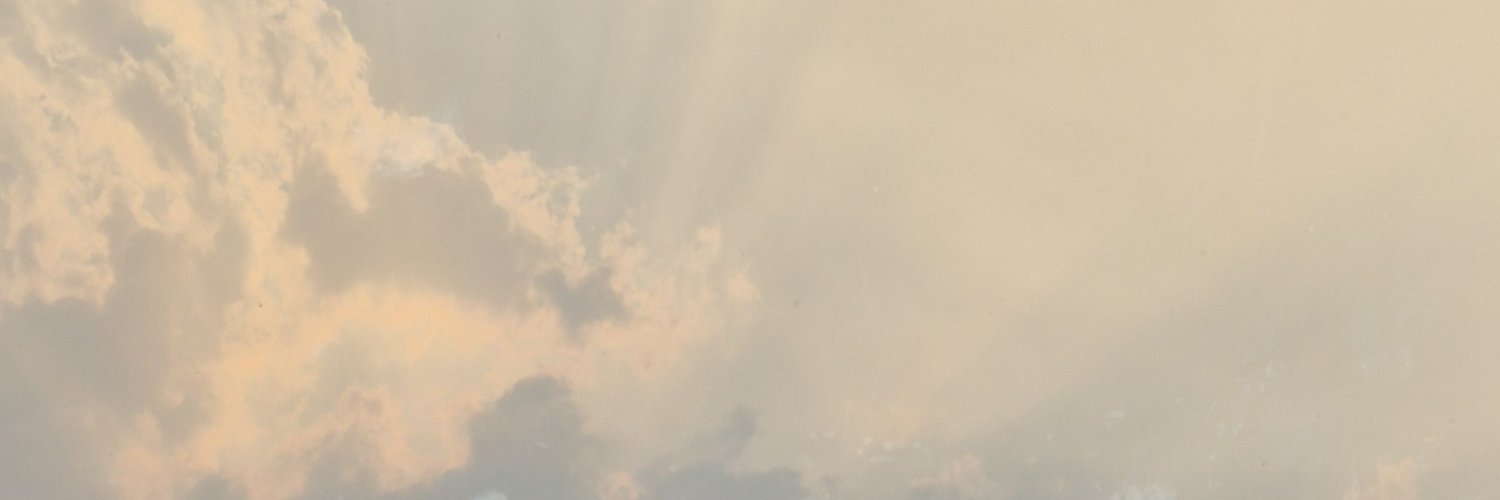 L1fe1sal1e's profile banner image