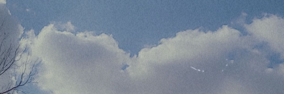 xSlutty_softx's profile banner image