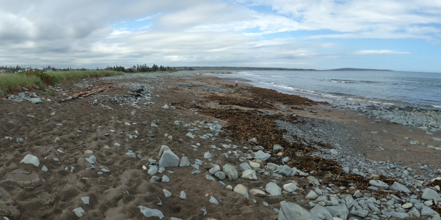 Evan Goldstein banner