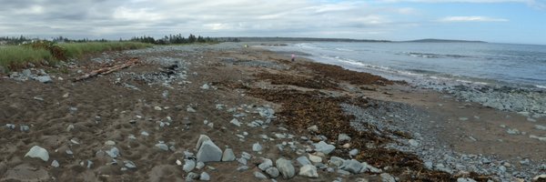 ebgoldstein Profile Banner