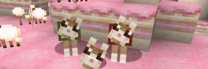 sheiniew's profile banner image