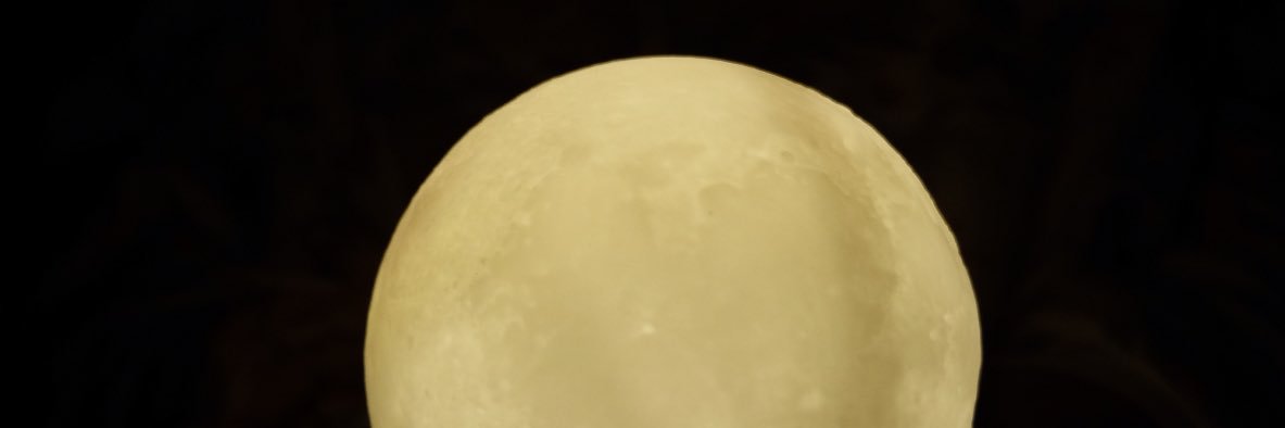 rosahrsa's profile banner image