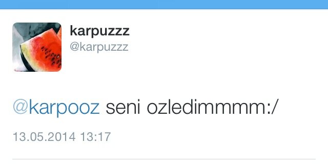 karpooz's profile banner image