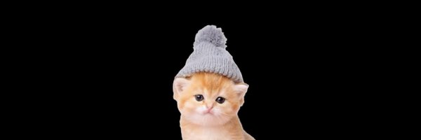 x_dags Profile Banner