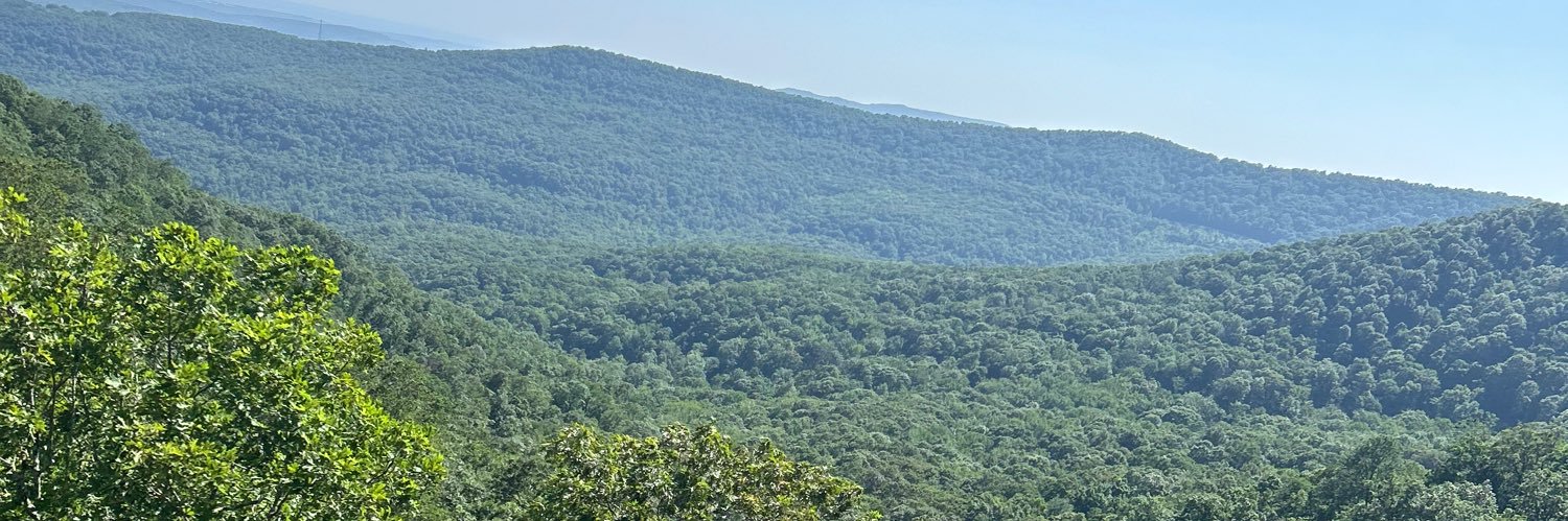 MadDawgPapi69's profile banner image