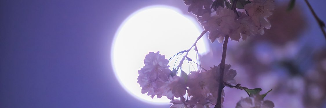 heroz501's profile banner image