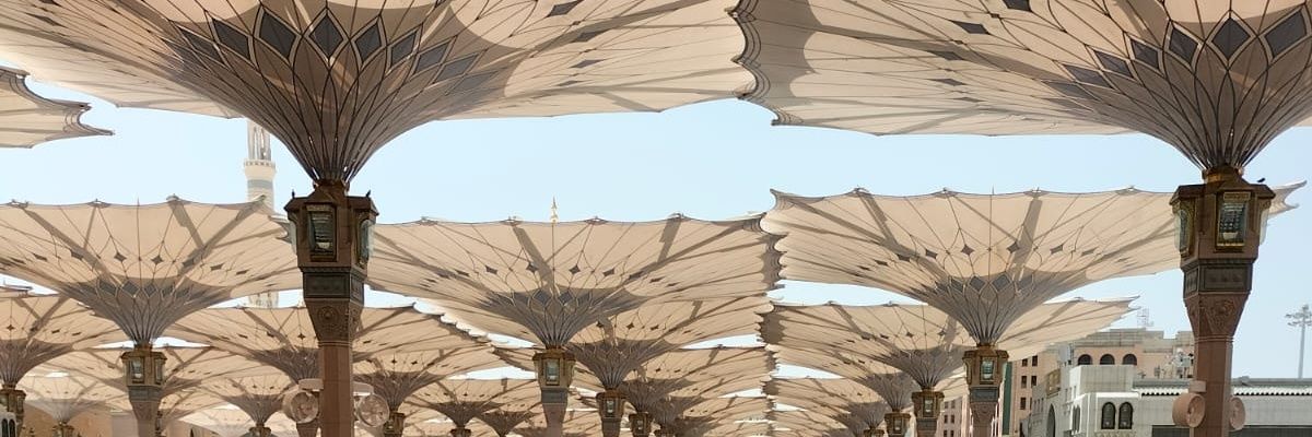 tasscallista's profile banner image