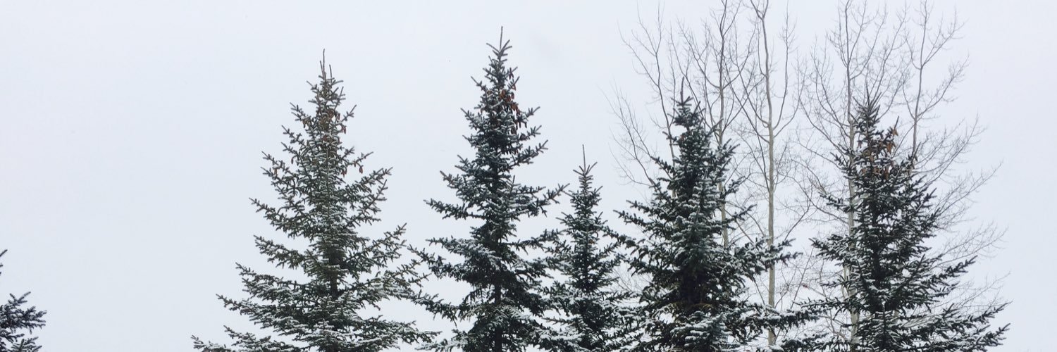 rach_edwards18's profile banner image