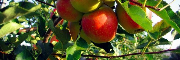 FarmsReach Profile Banner