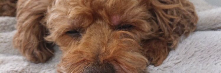 MGTLOVE's profile banner image