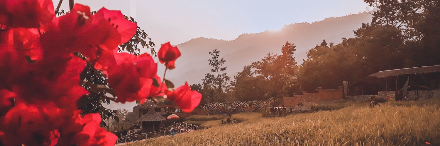 wiediast's profile banner image