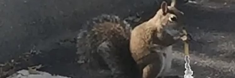 itstylerjt's profile banner image
