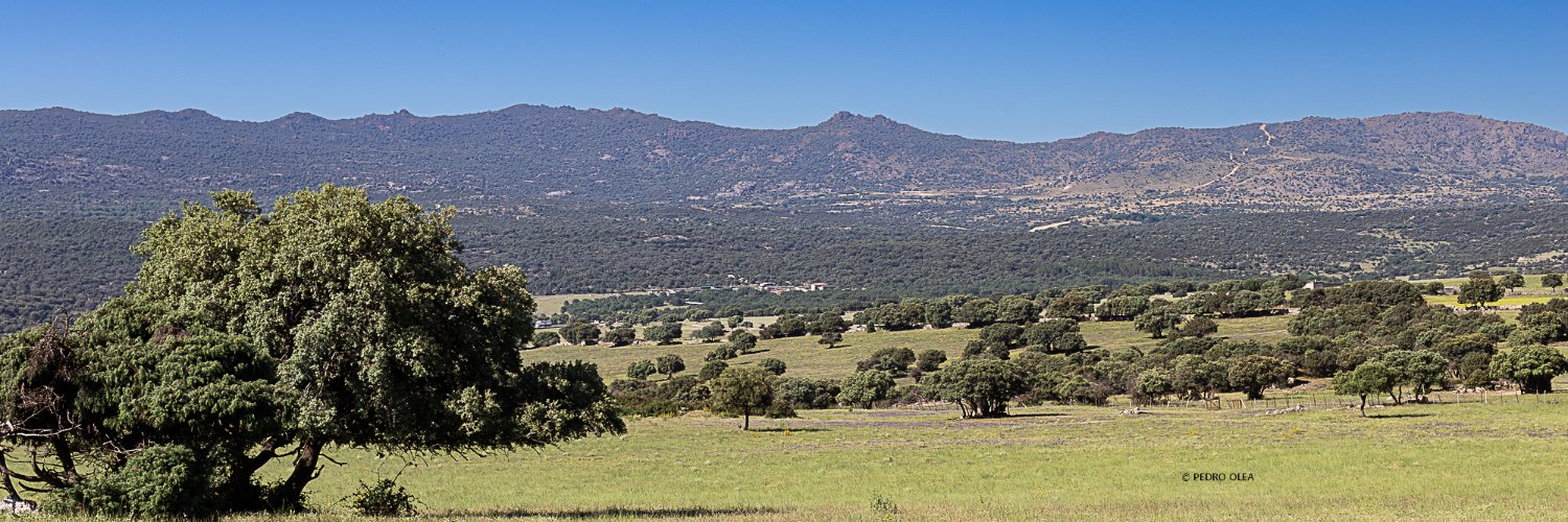 RewildTest banner
