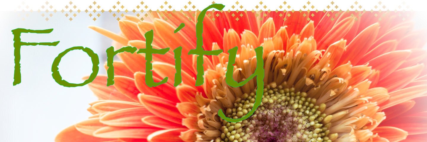 elocin17's profile banner image