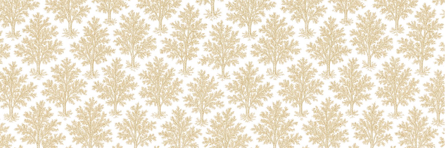 Larousse | لاروس banner