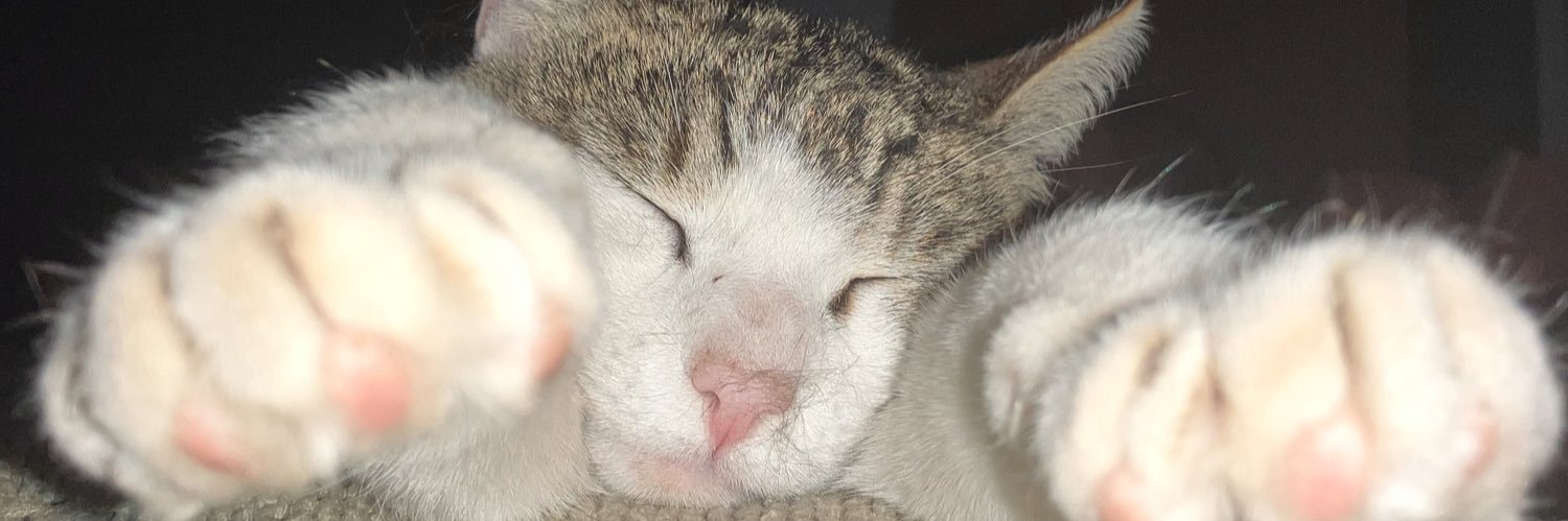 manudamm08's profile banner image