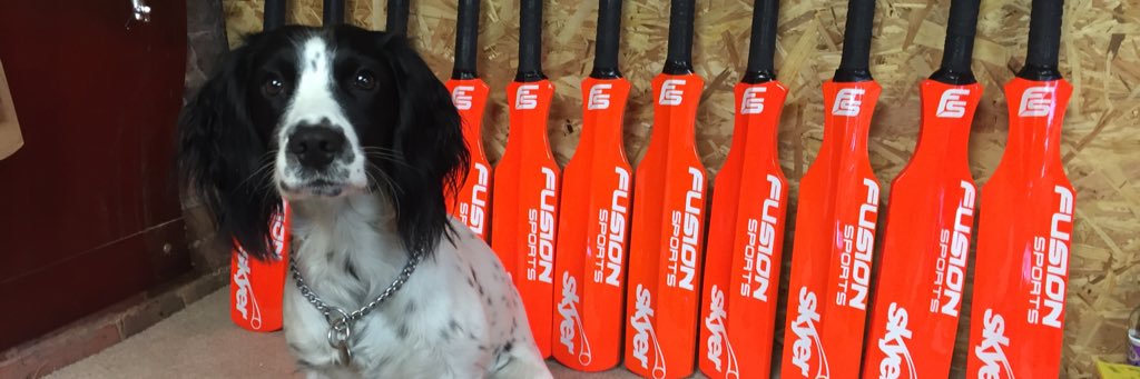 Fusion Sports banner