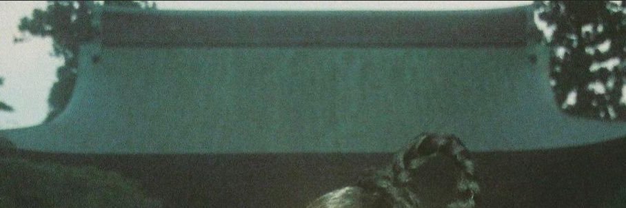 𝕱's banner