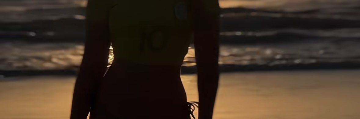 domingues banner