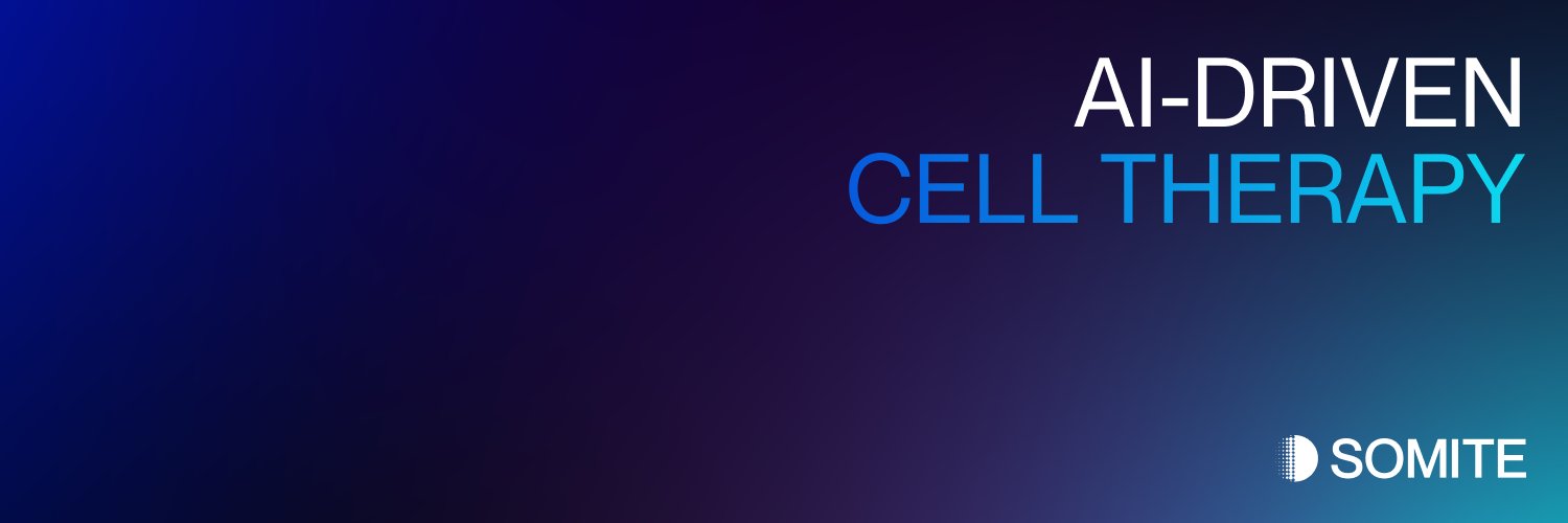 Somite AI's banner