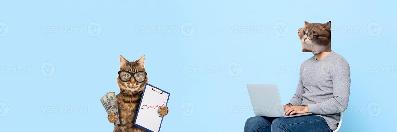 Dev is Cat banner