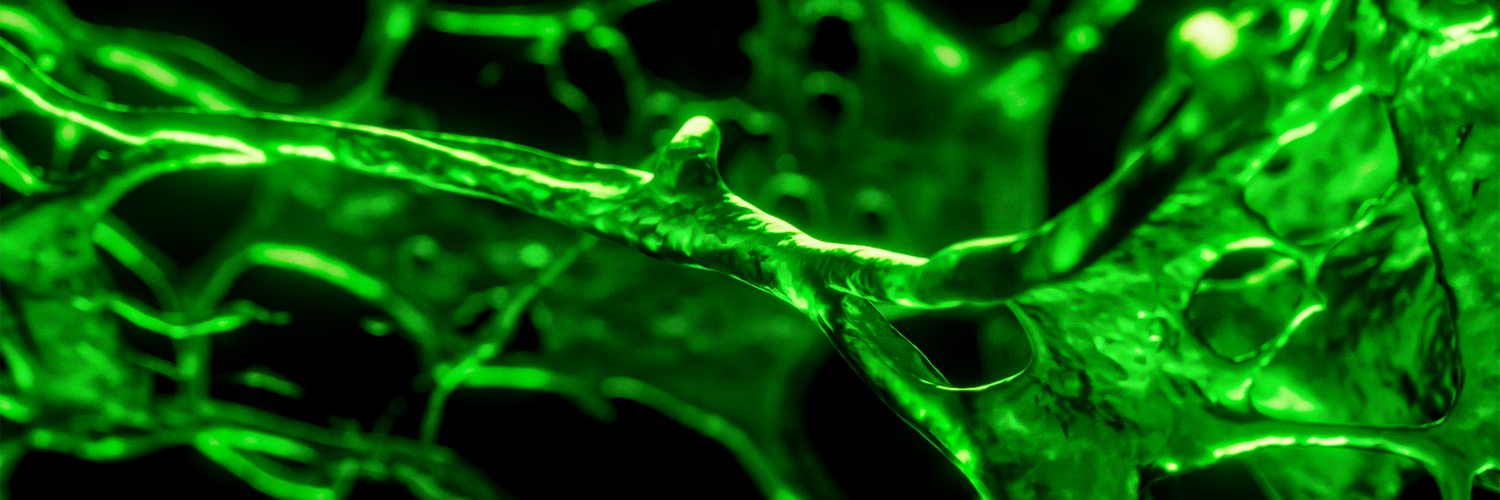 Twitter banner for @bacteria
