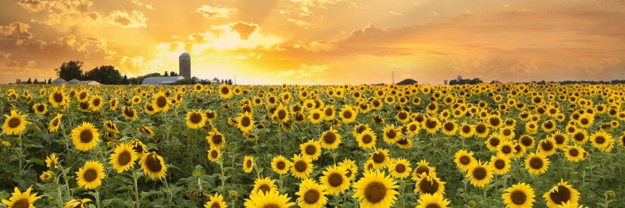American Farm Bureau Foundation for Agriculture banner