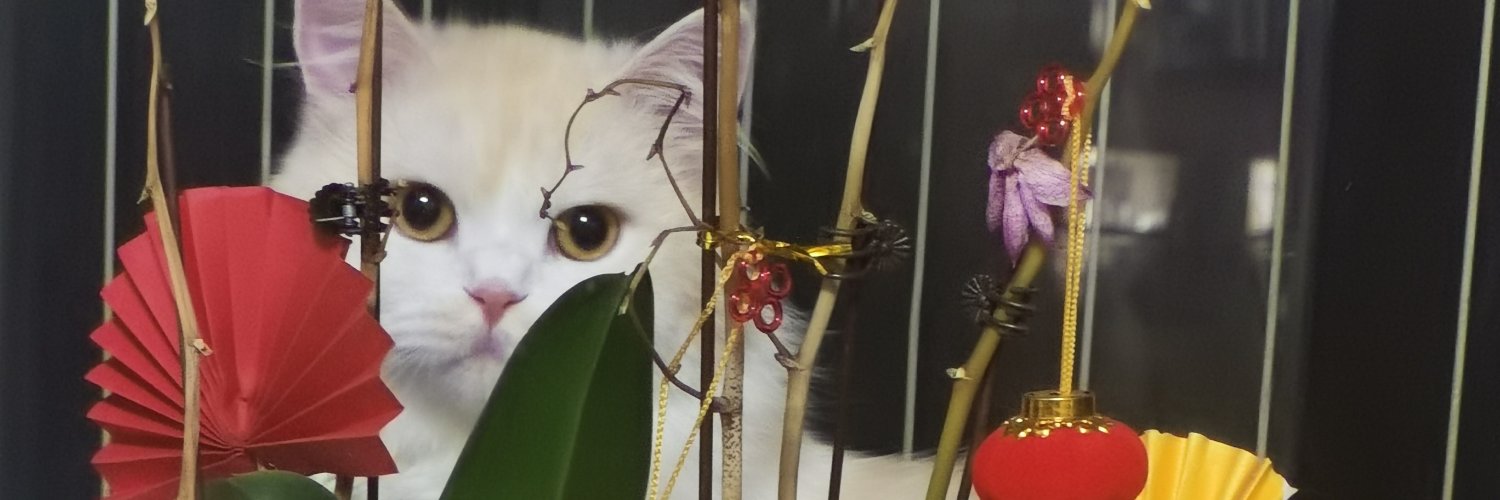 帝希埃弗 banner