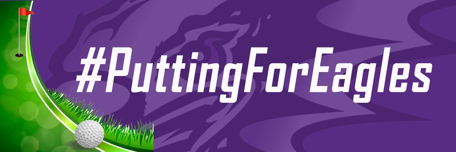 NiagaraWGolf's profile banner image