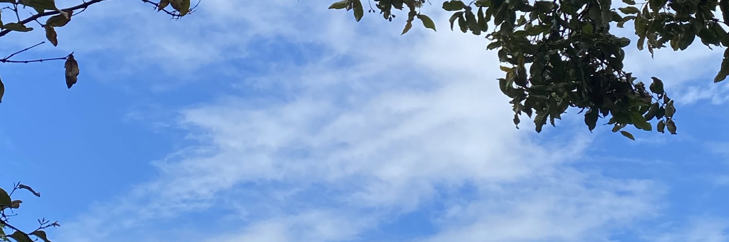 octlestari's profile banner image