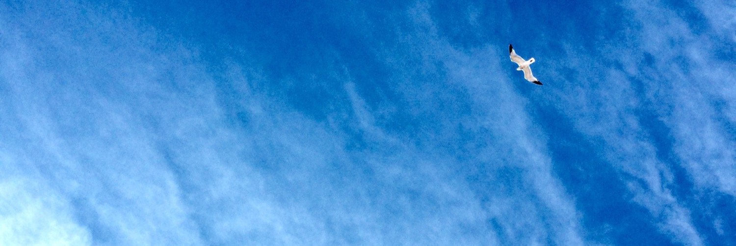 BellaBKNY's profile banner image