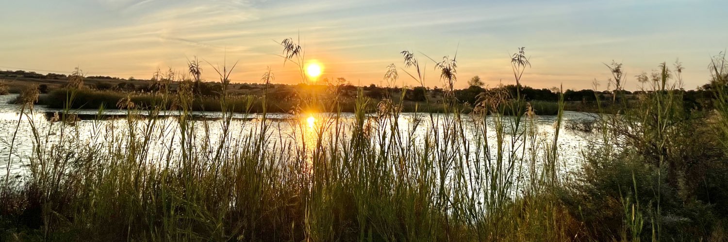 Prof Anne Goodenough banner