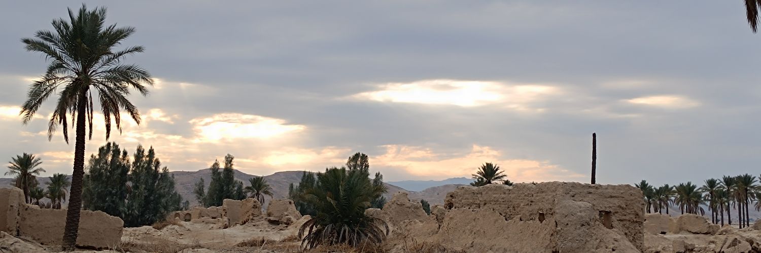 تونی مونتانا banner