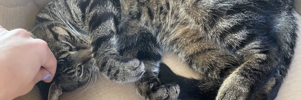 EDENeuw Profile Banner