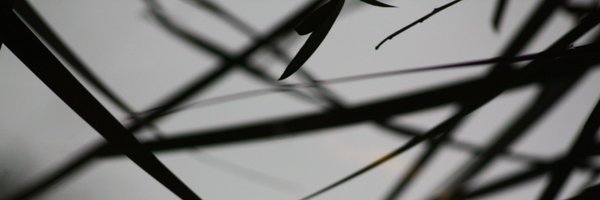 Web3Carry Profile Banner