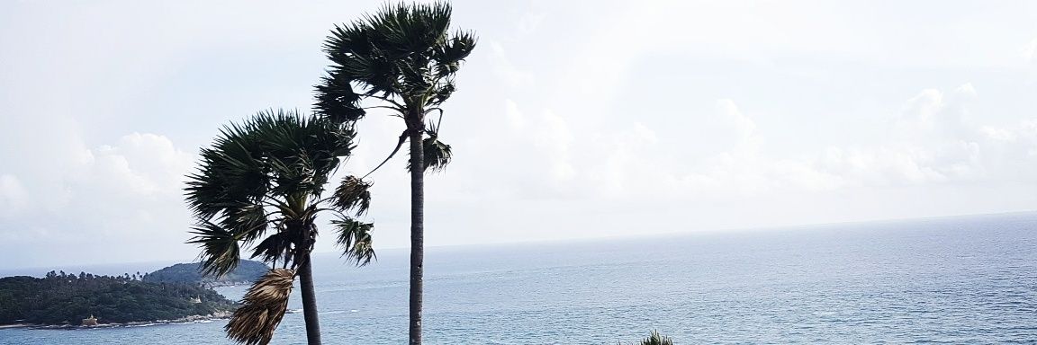 _r_ti_'s profile banner image