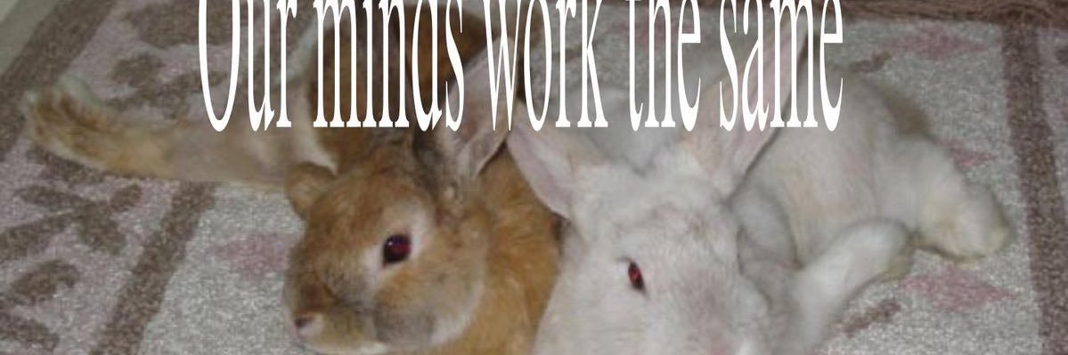 ۫'s banner