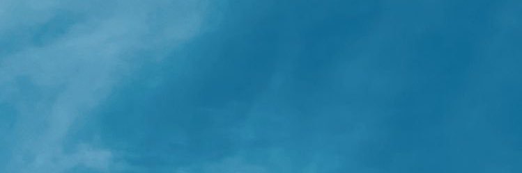 iamreee banner
