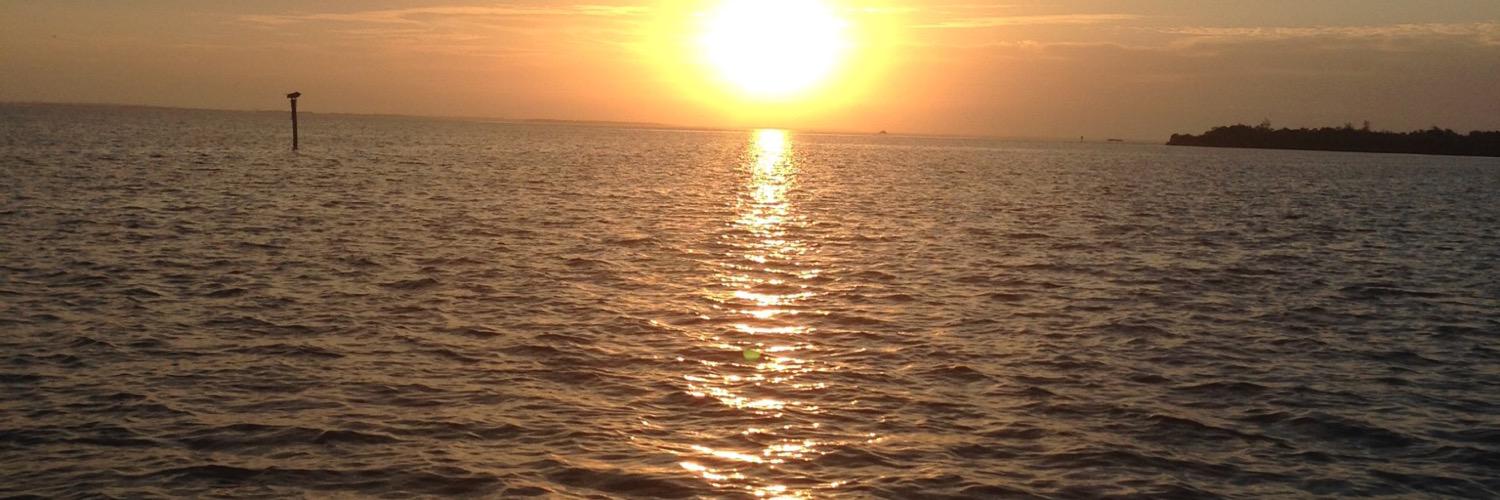 sbf121's profile banner image
